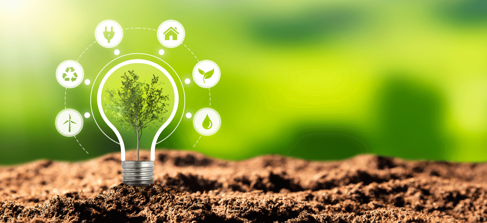 6 Tipps f�r nachhaltige Events