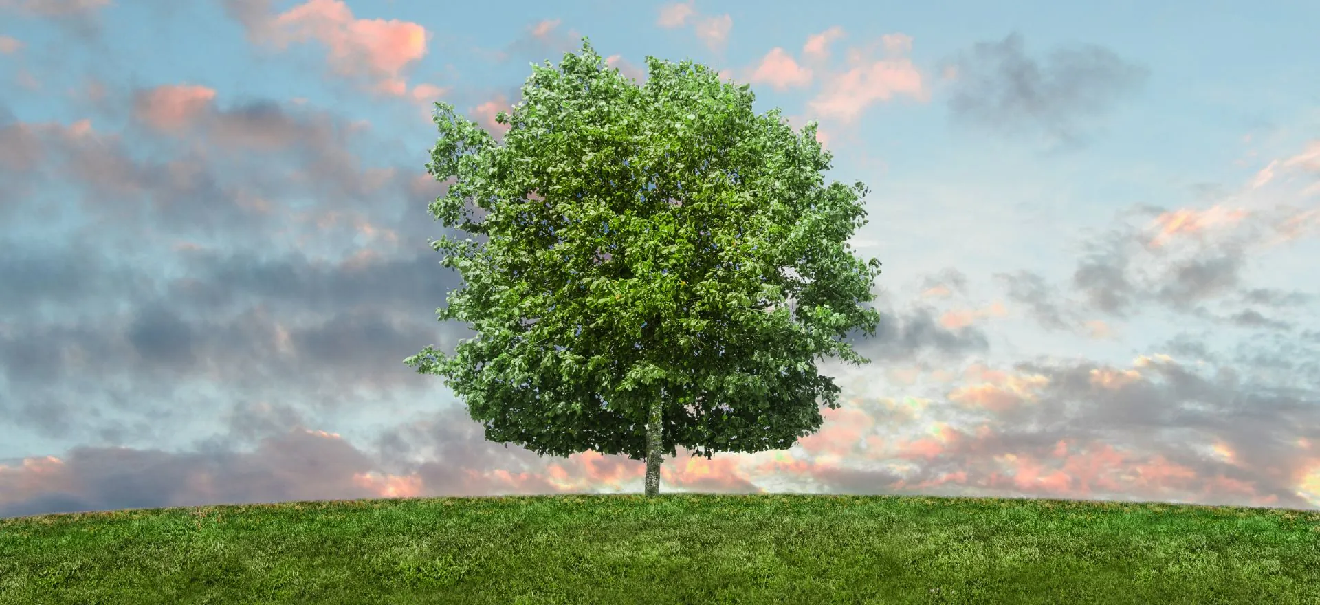 Nachhaltigkeit in Veranstaltungskonzepten: Umweltfreundliche Ideen f�r durchdachte Events